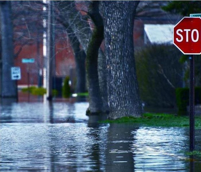 Flooded Neighborhood Street
