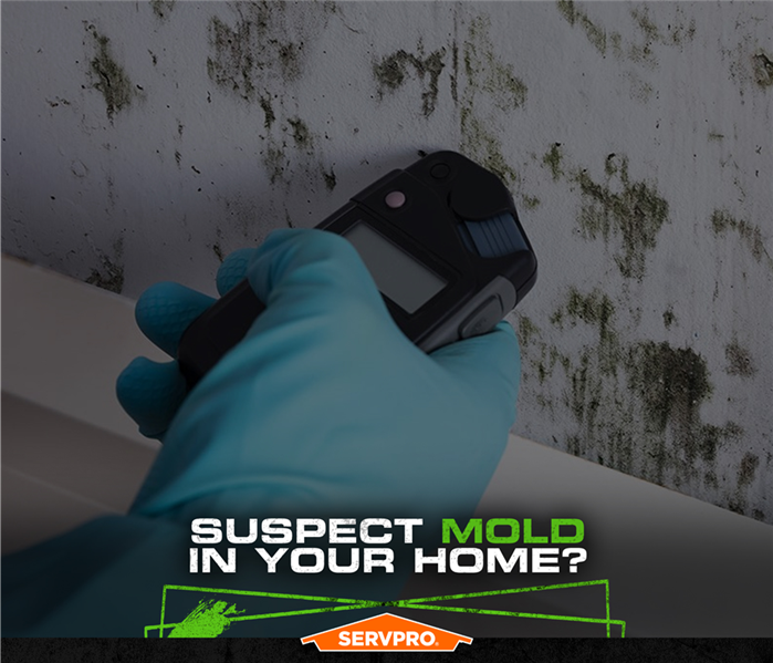 Mold damage on a wall with the caption Suspect mold in your home.