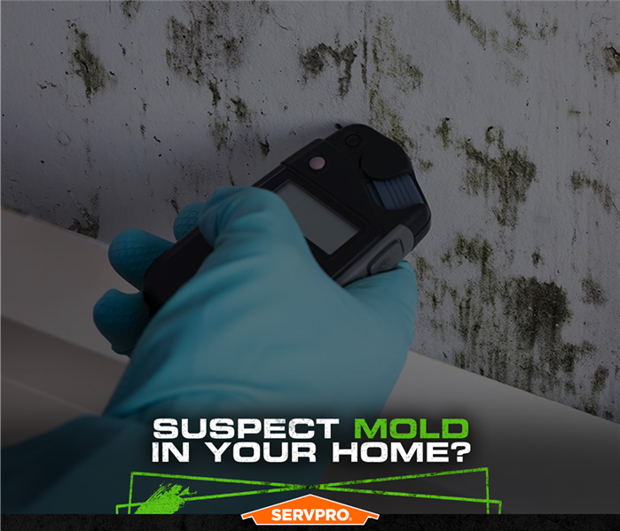 Mold damage on a wall with the caption Suspect mold in your home.
